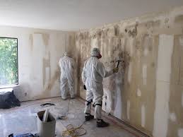 Why You Should Choose Our Mold Remediation Services in Othello, WA